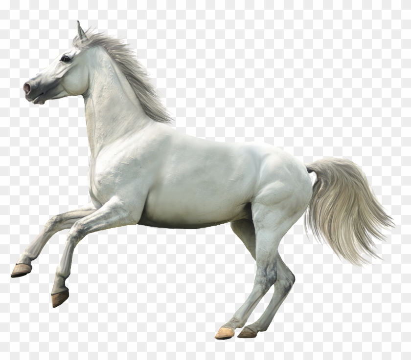 Wallpapers Laptop, Ax/84 Clipart #1273450