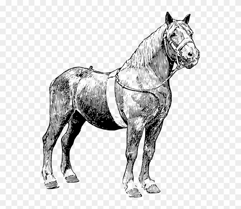 Horse - Mane Clipart