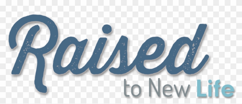 Graphic Design Clipart #1279784