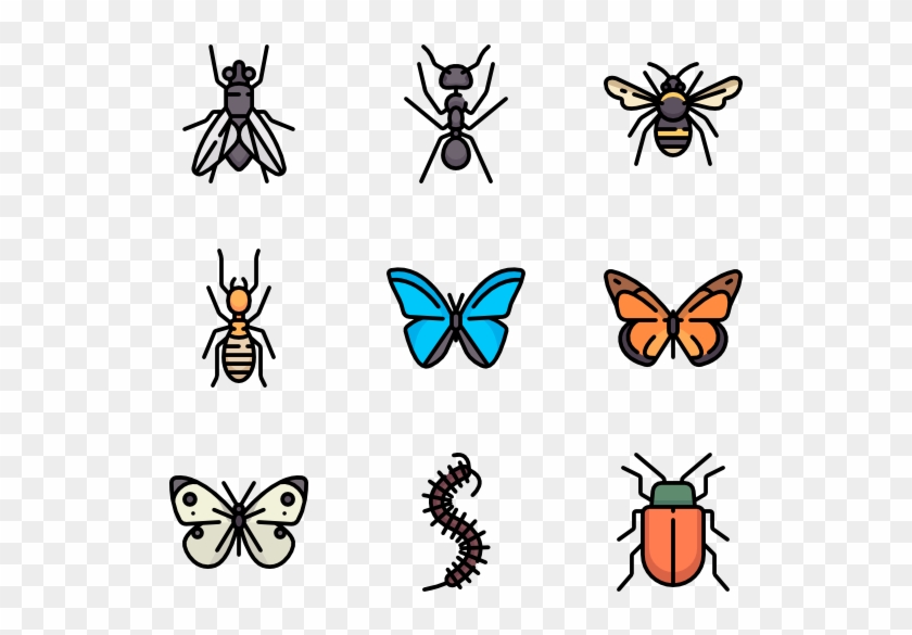 Insects - Insects Png Clipart #1279837