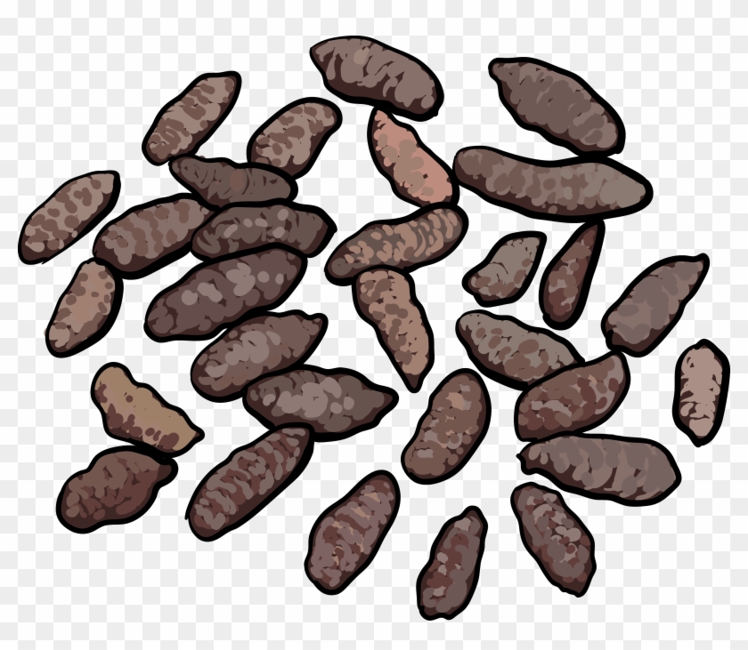 Norway Rat Droppings - Pack Rat Droppings Clipart