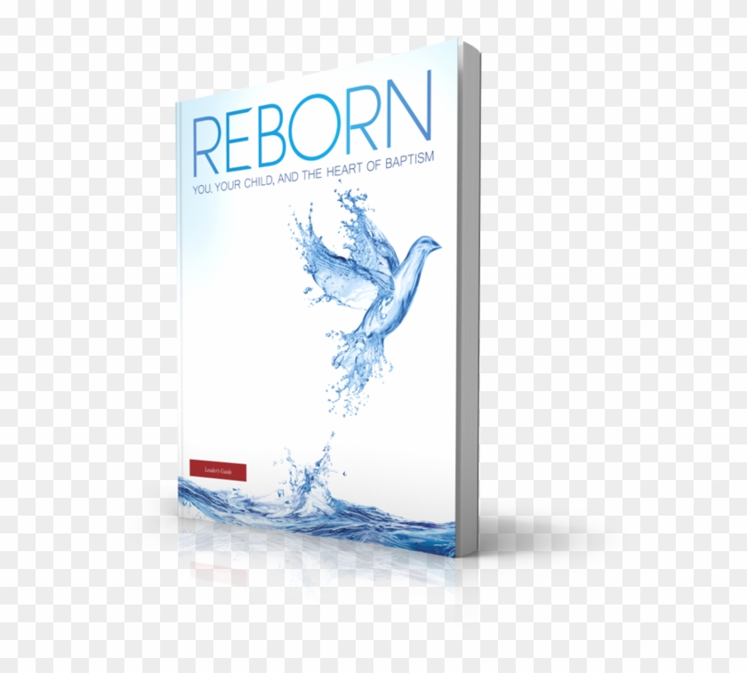 Reborn - Leader Guide - Graphic Design Clipart