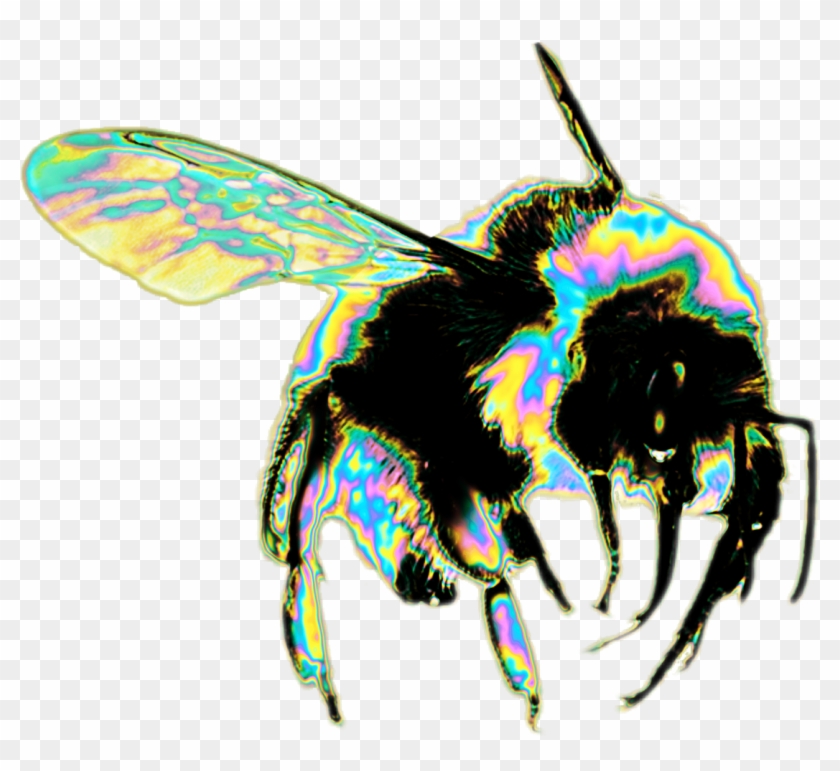 Insect Png Tumblr - Wasp Bee Clipart #1280704