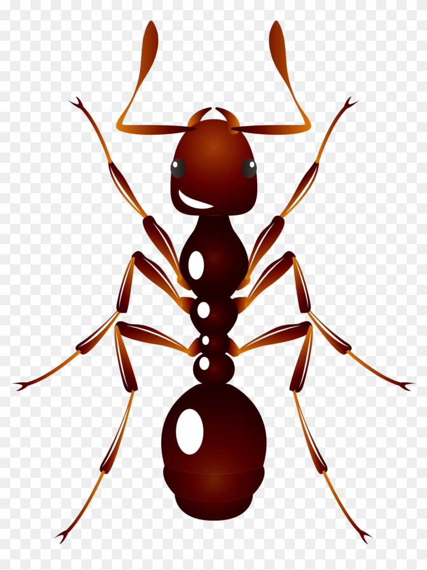 Ant U6606u866b U8682u8681 Insect - Ant Clipart