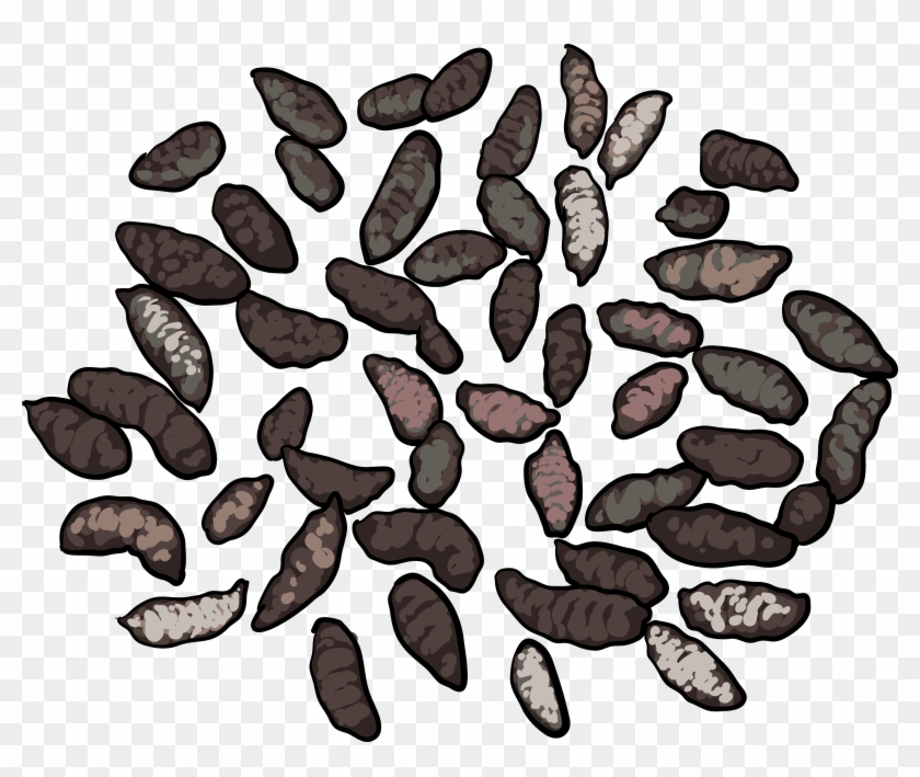 Roof Rats Droppings - Gopher Droppings Clipart #1281527