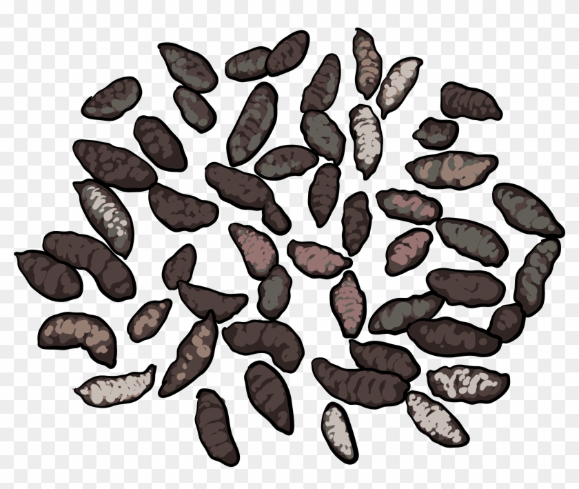 Roof Rats Droppings - Gopher Droppings Clipart