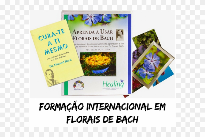Terapia Floral Sistema De Bach - Flyer Clipart
