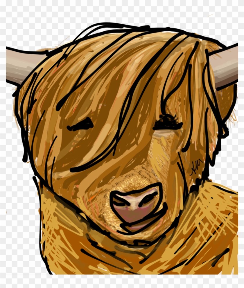 Harry The Highland Cow - Illustration Clipart