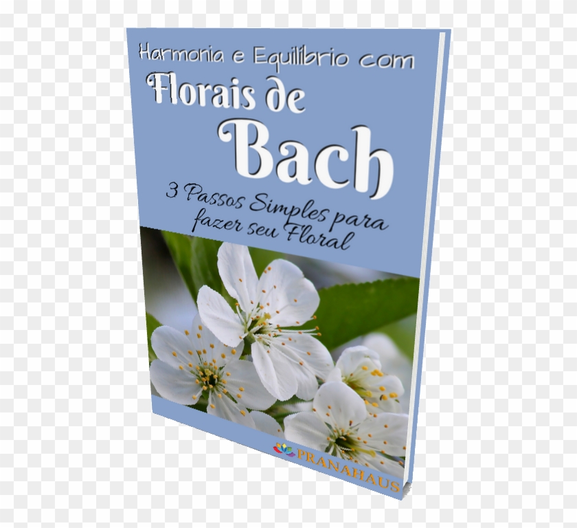 Harmonia E Equilíbrio Com Florais De Bach - Black And White Flower Photography Clipart