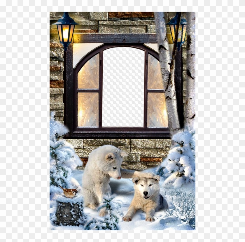 Winter Photo Frame Open Window - Transparent Winter Window Png Clipart