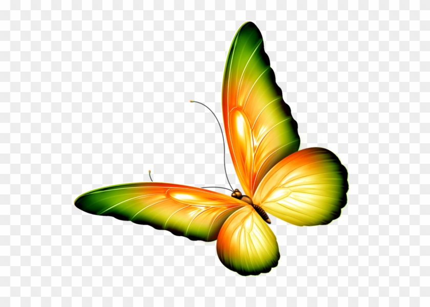 Butterfly Clipart With Transparent Background - Png Download #1283384