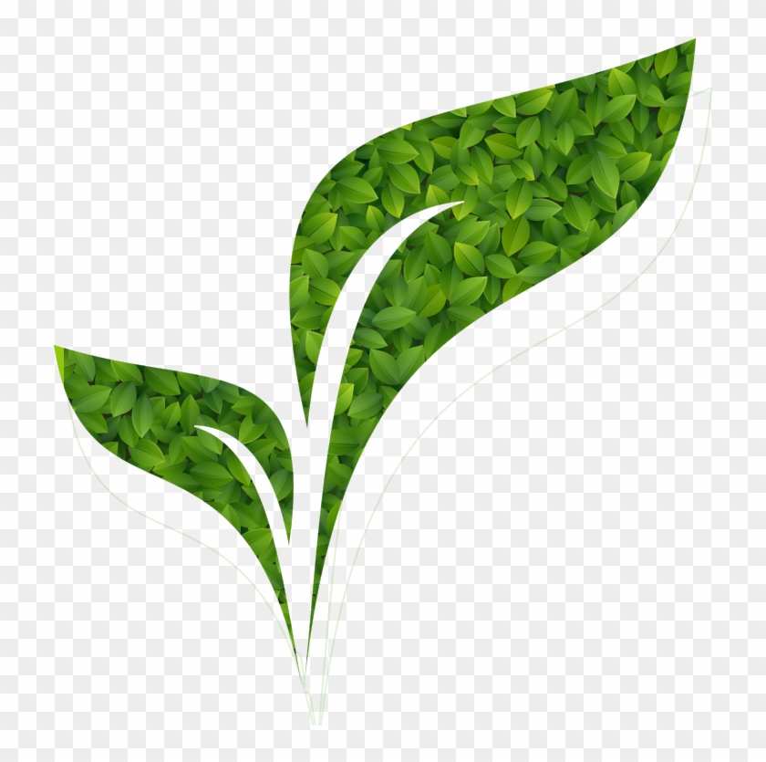 Organic Specialties For Synthesis - Illustration Clipart #1283569