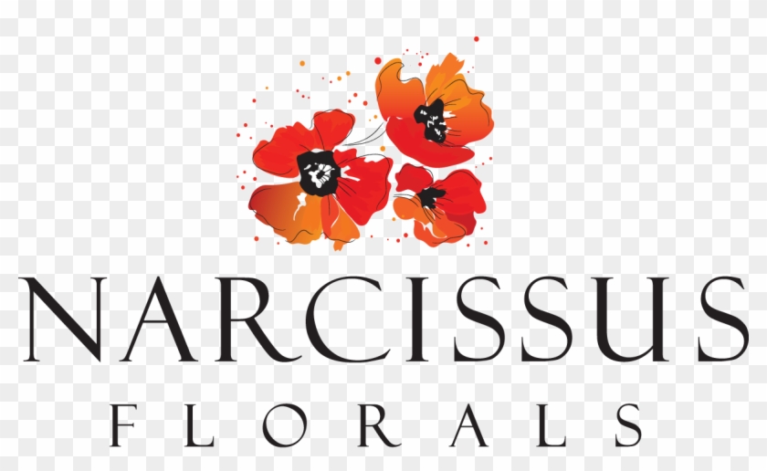 Logo Newest 600 - Illustration Clipart #1283901