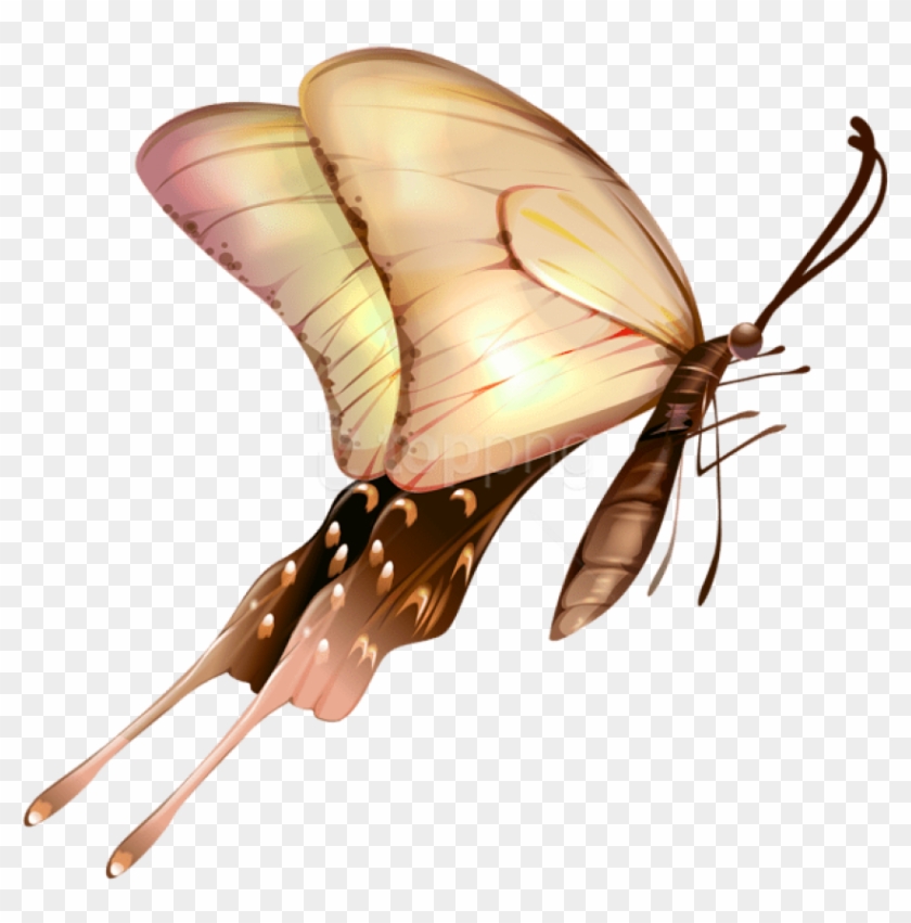 Free Png Images - Butterfly Transparent Clipart #1284004