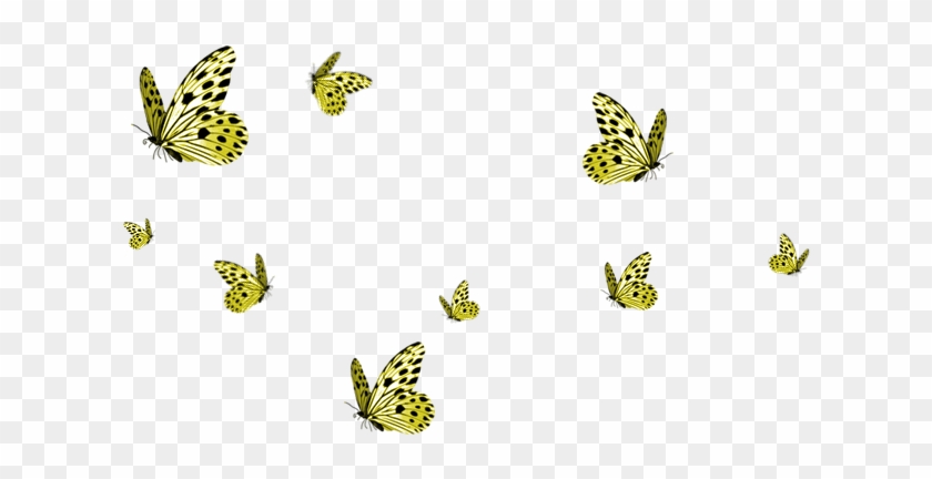 A Place To Grow - Green Butterfly Border Png Clipart