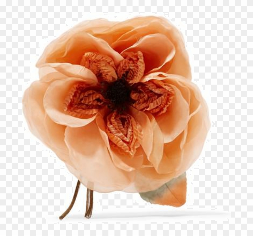 Gucci Gucci - Floral - Peony Clipart #1284423