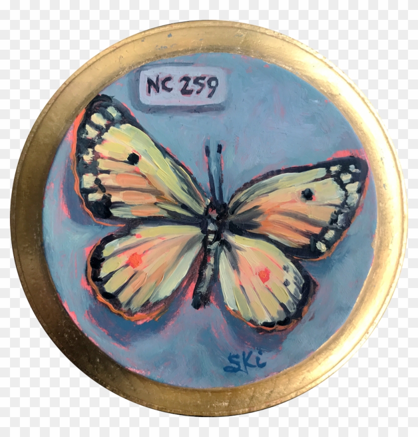 Nc 259 Butterfly - Brush-footed Butterfly Clipart #1284523