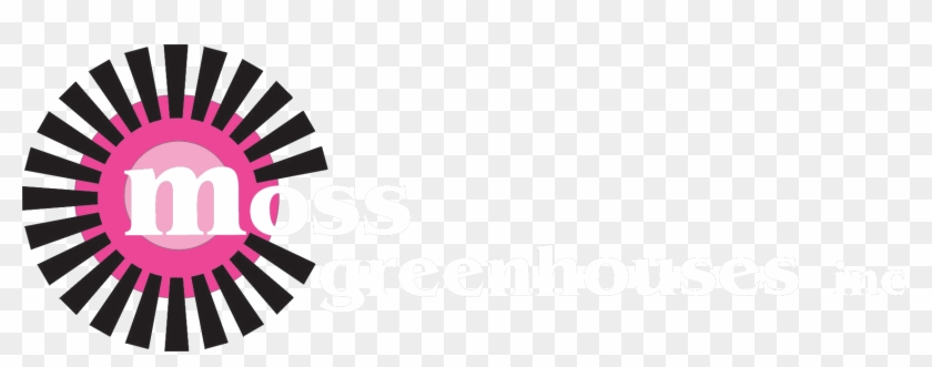 Image - Black And White Sun Rays Clipart #1285331