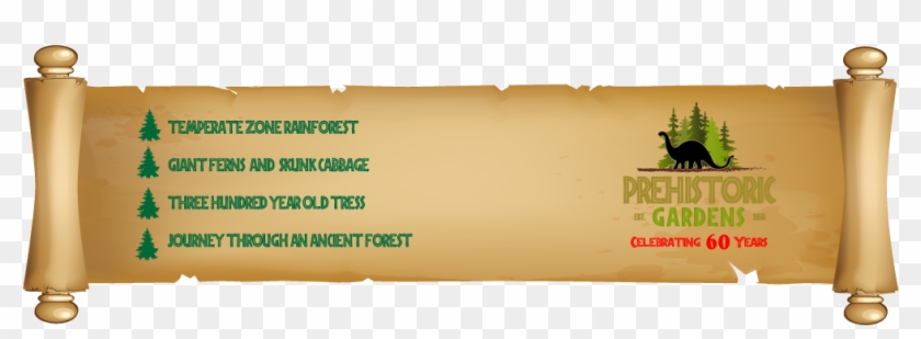 Rainforest - Rhinoceros Clipart #1285689