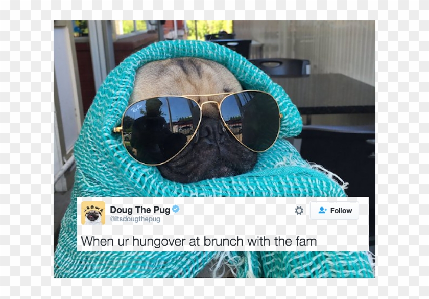 21 Hilarious Tweets About Brunch - Doug The Pug Hungover Clipart #1286103