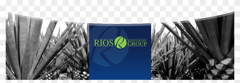 Rios Restaurant Group - Banner Clipart