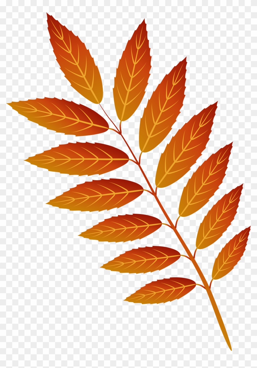 Orange Autumn Leaf Png Clip Art Image - Smooth Sumac Transparent Png #1286972