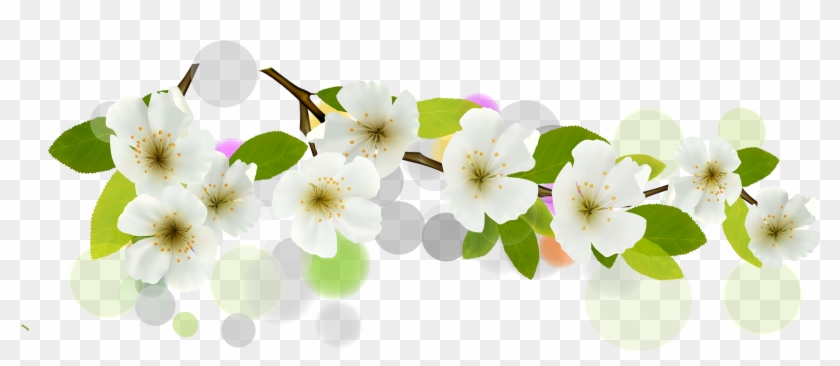 Flower Euclidean Vector White Banner Clipart
