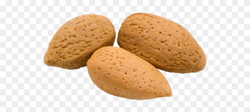 Almond Clipart #1287858