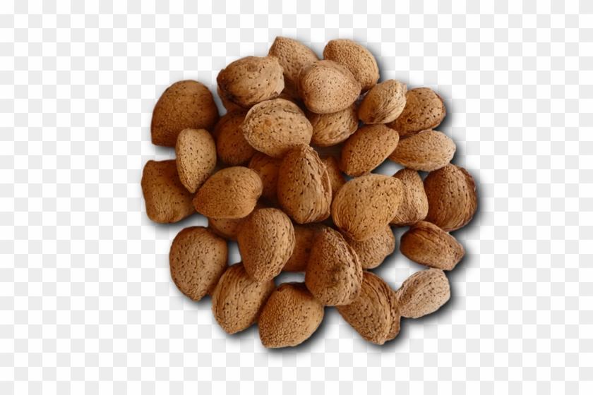 In A More Rounded And Shorter Way, It Has A Sweet Taste - Ginger Nut Clipart