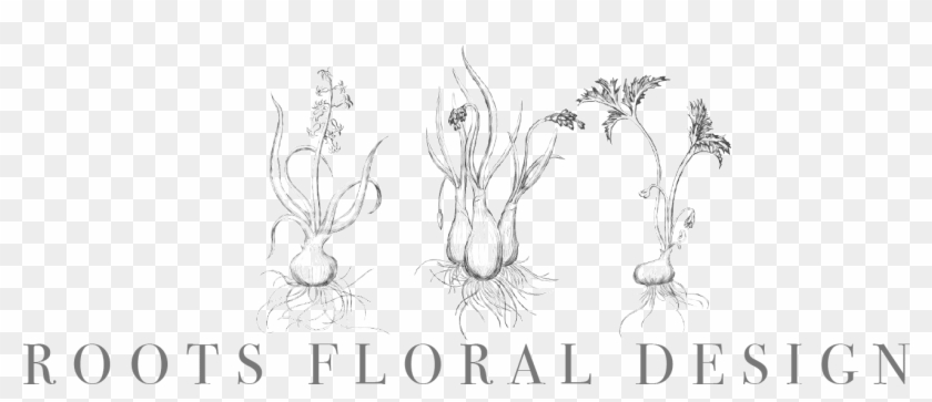 Roots Floral Design - Sketch Clipart