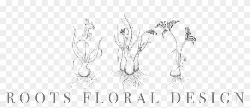 Roots Floral Design - Sketch Clipart #1288630