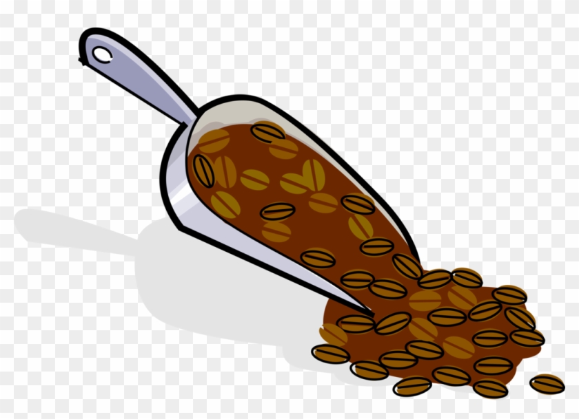 Vector Illustration Of Coffee Bean Seed Of The Coffee - Clipart Scoop - Png Download #1288659