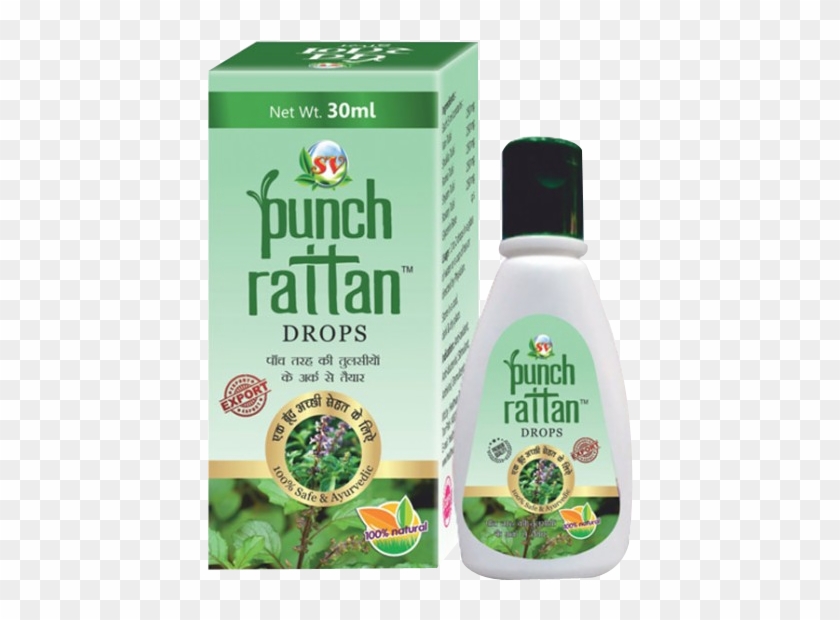 Purple Coneflower Clipart