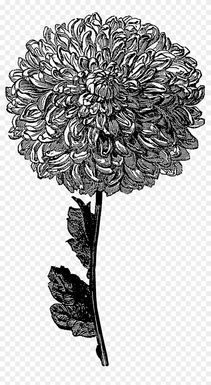 Yellow Flower Clipart Tumblr Transparent - Black And White Image Of Flowers Transparent - Png Download