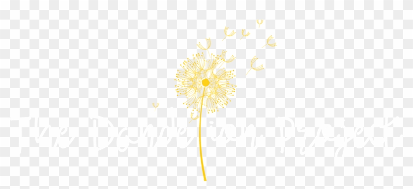 2093 X 864 7 - Dandelion Transparent Png Clipart