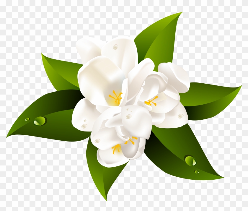 White Flower Transparent Clip Art Image - Png Download
