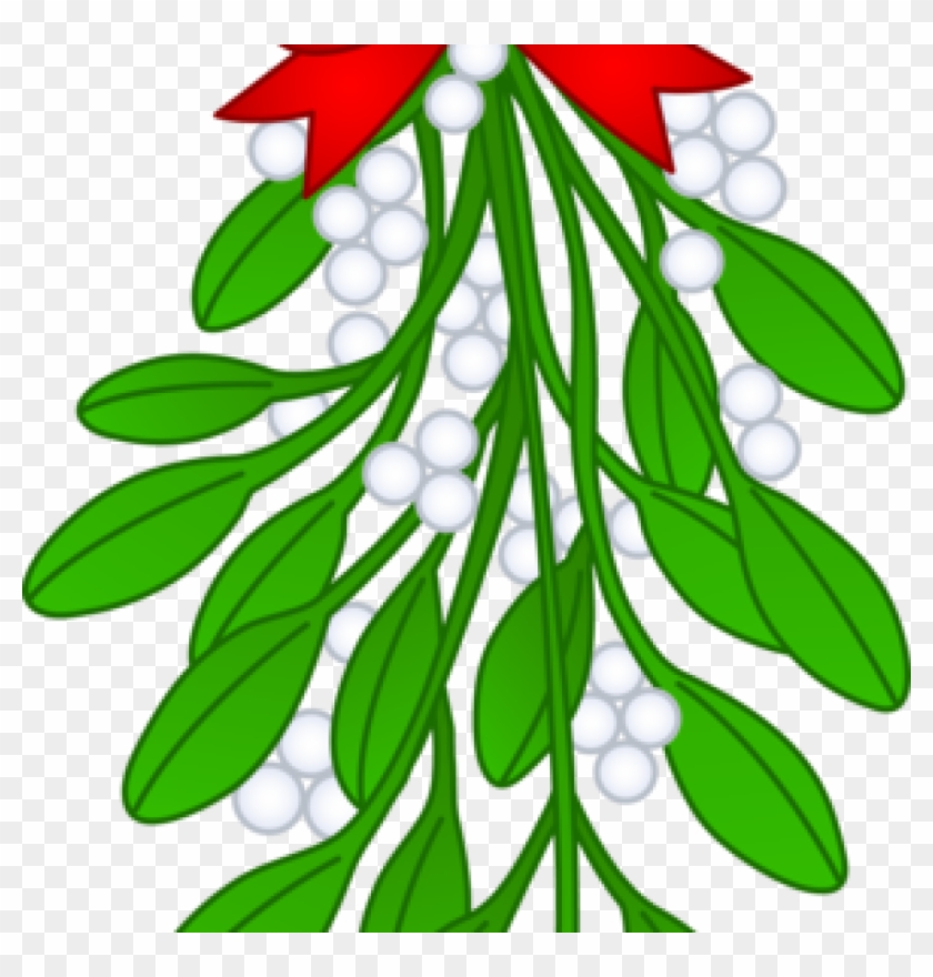 Free Mistletoe Clipart Christmas Mistletoe With Red - Hanging Mistletoe Transparent Background - Png Download #1291560
