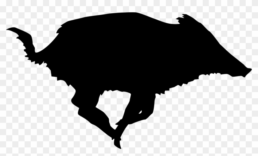 Wild Boar Coyote Shooting Targets Boar Hunting - Boar Silhouette Png Clipart