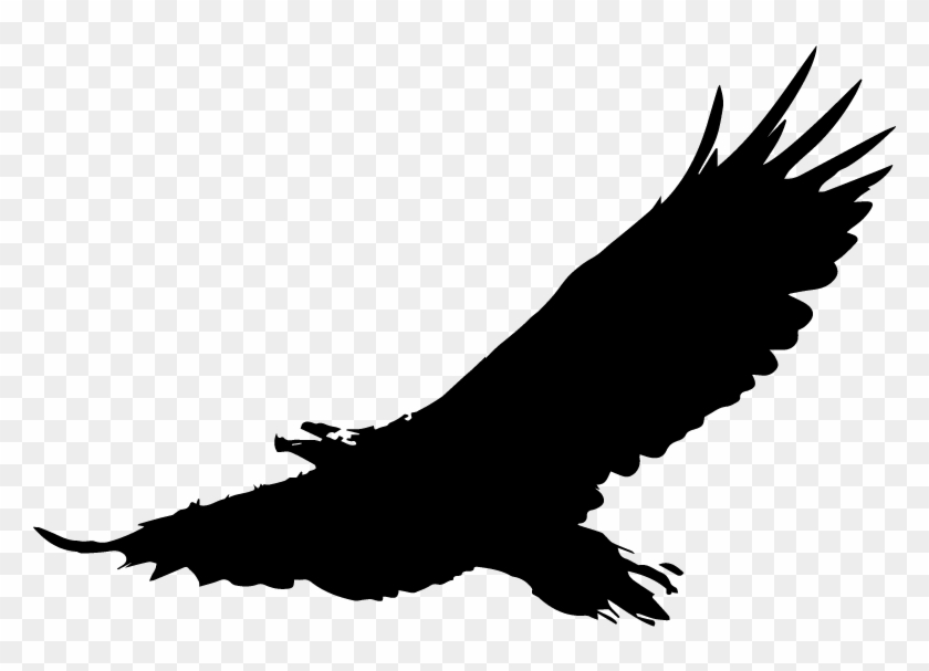 American At Getdrawings Com Free For Personal - Bald Eagle Png Clipart