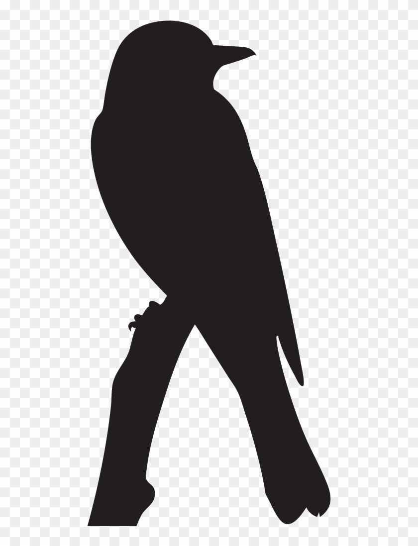 Eastern Kingbird - Western Kingbird Silhouette Clipart #1292653