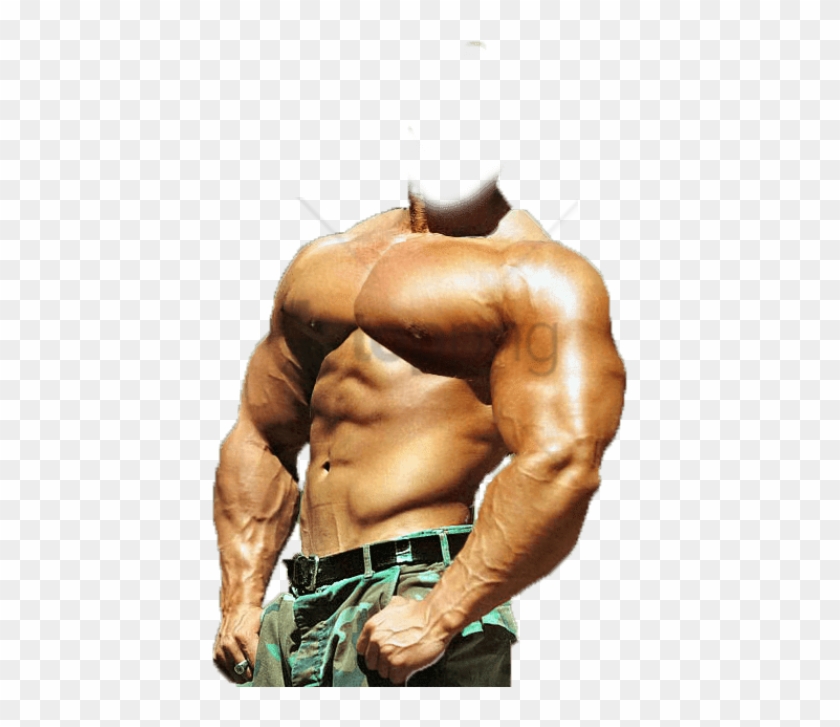 Free Png Download Bodybuilder Png Images Background - Bodybuilding Body Png Clipart #1292927