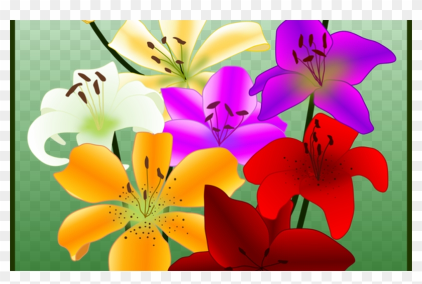Flower Drawing Yellow Easter Lily Petal Free Commercial - Tiger Lily Clipart #1293067