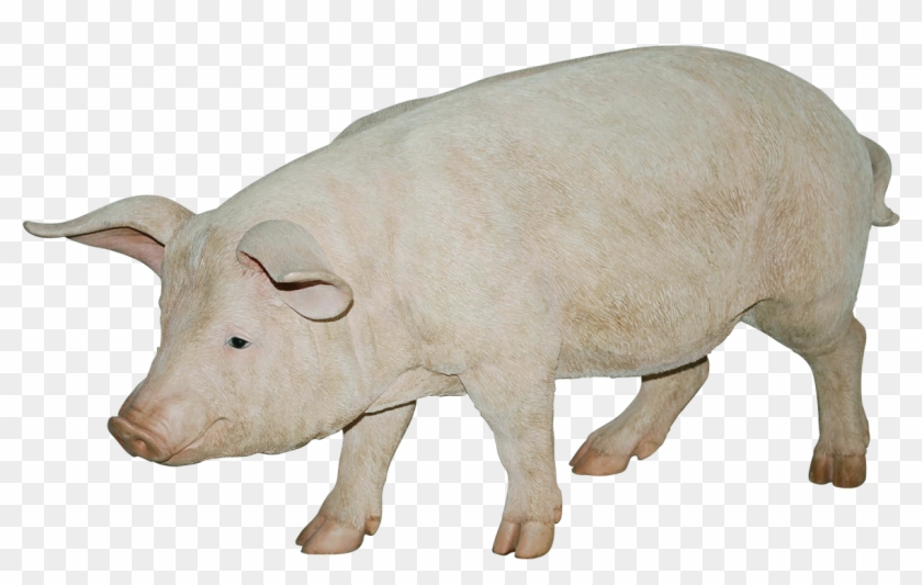 Download Png Image Report Clipart #1293238
