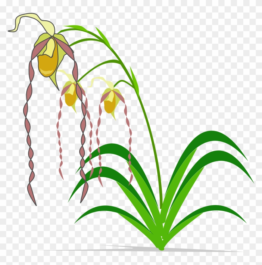 Easter Lily Flower Clip Art Free - Openclipart - Png Download
