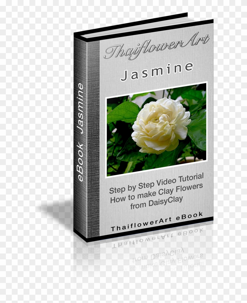 Ebook Jasmine - Garden Roses Clipart #1293413