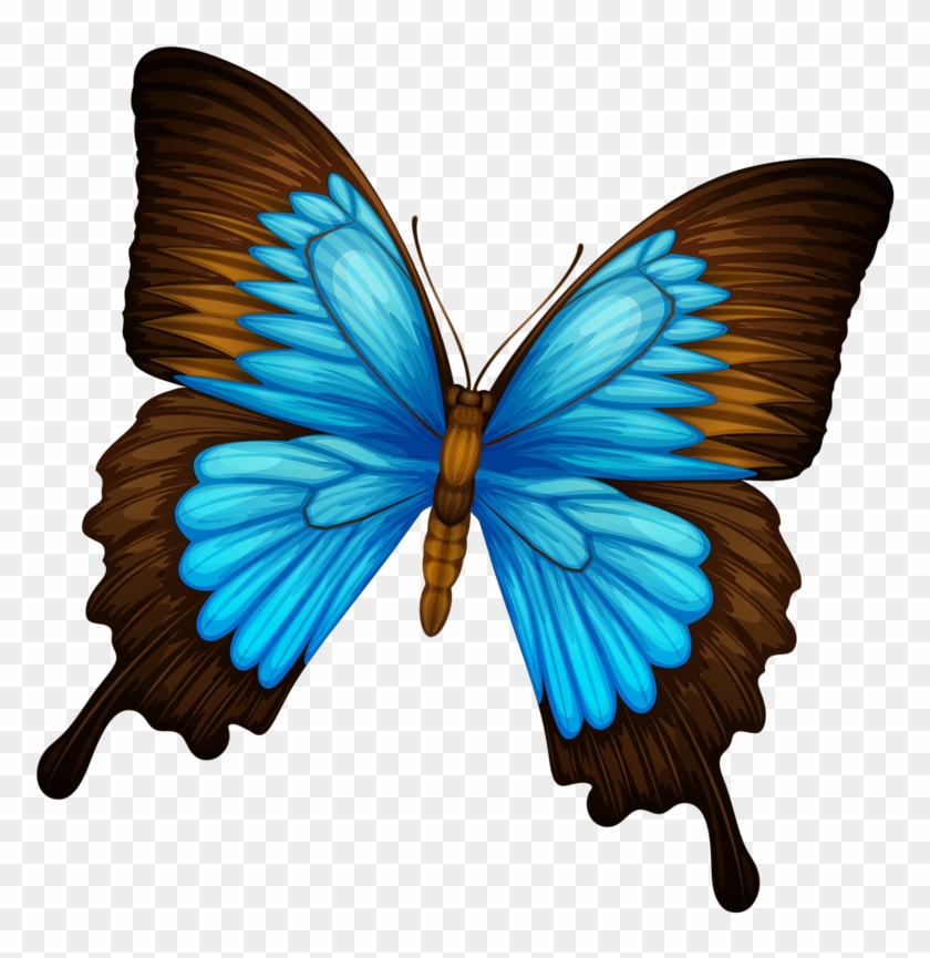 Фото, Автор Elena-soloveika На Яндекс - Levels Of Classification Of Butterfly Clipart #1296400