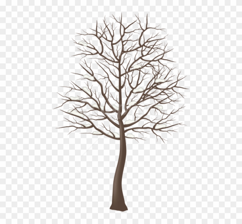 Free Png Winter Snowy Tree Png - Transparent Tree Png Clipart #1296402