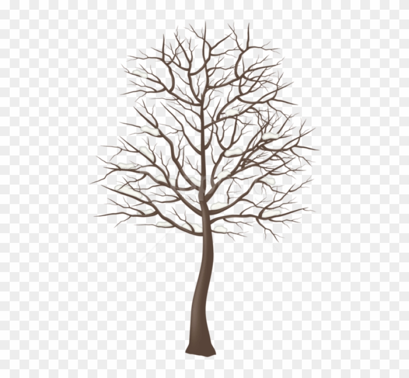Free Png Winter Snowy Tree Png - Transparent Tree Png Clipart