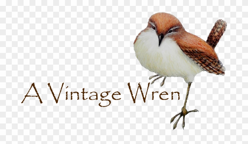 Nh Made Member Directory - Semipalmated Plover Clipart