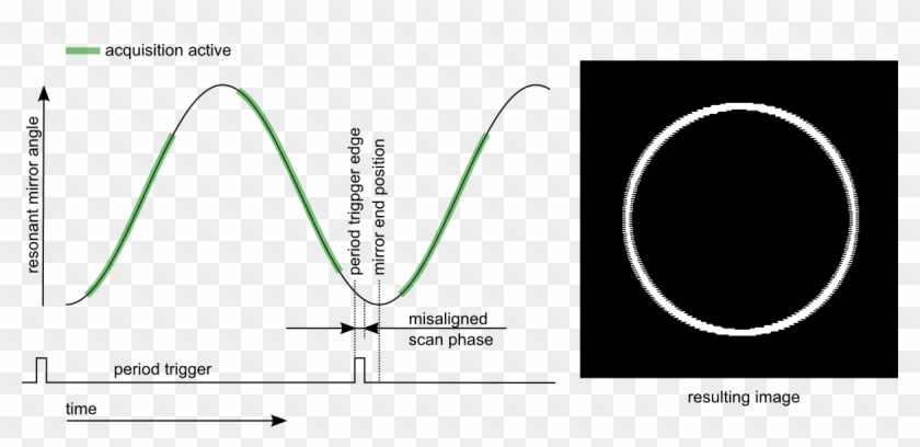 If The Value For The Scan Phase Is Set Incorrectly - Resonant Scanner Bidirectional Scanning Edge Clipart #1297253